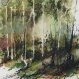 Sous bois à Mérens